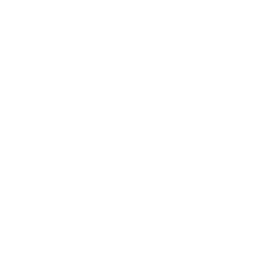 call icon